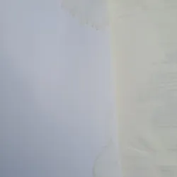 Khi tài năng không theo kịp giấc mơ - Mèo Maverick (tản văn) 731561