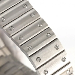 Cartier Santos-Du-Cartier LM WSSA0062 SS Automatic - Hàng hiệu Chính hãng 881014