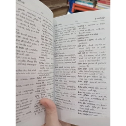Từ điển Việt Anh - Bùi Phụng 521157