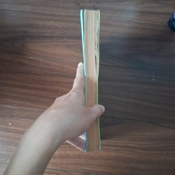 Đóng cửa thả boss 510051
