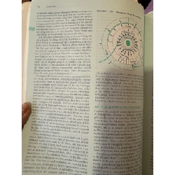 Organizational behavioir and management - Ivancevich Matteson 999615