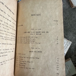 Vic-to Huy-gô 519102