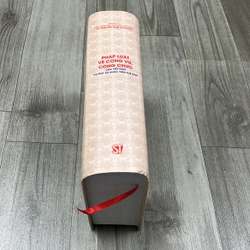 Pháp luật về công vụ, công chức của VN và 1 số nước trên thế giới. 1b1 545060