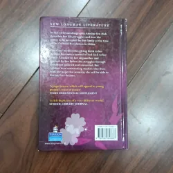Chinese Cinderella 1035515
