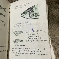 Em tìm hiểu khoa học - Lơp 2, sách giáo khoa xưa  931487