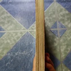 Truyện rút gọn bằng tranh - Hồng Lâu Mộng 1011098