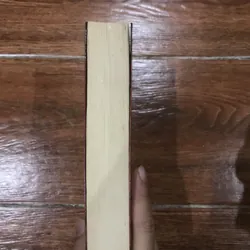 Pháp Sư - Bí mật của Nicholas Flamel bất tử - Michael Scott (8) 721204