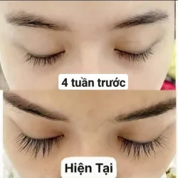 Vuốt dài, dày mi 971572