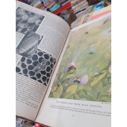 Compton's pictured encyclopedia, 1955 edition 500429