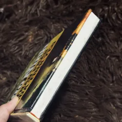 Thân phận của tình yêu (bìa cứng) 994935