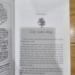 Nguồn gốc Nhãn hiệu  446705