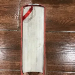 Chu Dịch Dịch Chú - Hoàng Thọ Kì - Trương Thiện Văn  (10) 993106