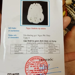 Tìm chủ nhân cho miếng ngọc (ngọc thiên nhiên, tuýp Á, có kiểm định)  507132