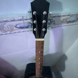 Gujtar acoustic  446414