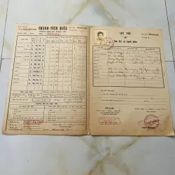 Bộ thành tích biểu xưa nam sinh Trung học tư thục Phan Sào Nam và Phan Chu Trinh Biên Hoà 1013154