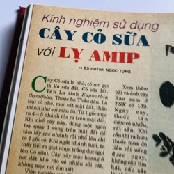 TỔNG HỢP BÁO THUỐC & SỨC KHỎE ( từ số 165 - 186) 488436