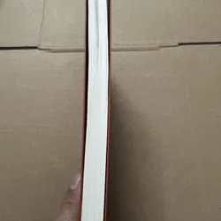 Cây Cam Ngọt Của Tôi 737393