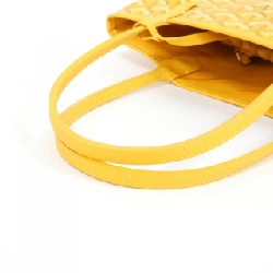 Goyard Anjou Mini Bag - Hàng hiệu Authentic 765283