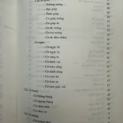 Giải phẫu tạo hình 1045616