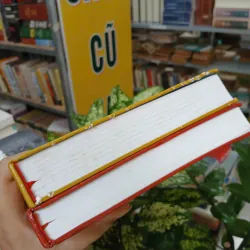 ĐẠO MẪU VIỆT NAM (TRỌN BỘ 2 TẬP BÌA CỨNG) - NGÔ ĐỨC THỊNH 976807