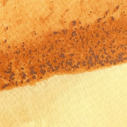 【Khuyến mãi】Jil Sander JIL SANDER Đầm 654442