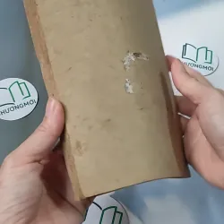 Những Truyện Tích Đầu Tiên Trong Kinh Thánh - Hội Thánh Tin Lành 775990