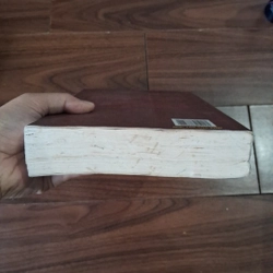 Ảnh hậu tái sinh 508835