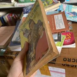 Cái chết Bạch Hải Đường xb 1995 695670