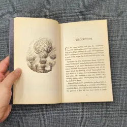 (Ngoại văn) The Edge Chronicles - The Stone Pilot - Stewart & Riddell  1044722