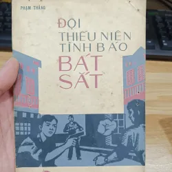 Đội thiếu niên tình Bát Sắt 971896