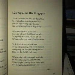 Cửa biển tình yêu - Nguyễn Viết Lãm 1004227