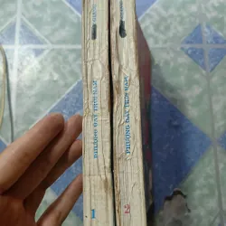 Phượng gáy trời nam ( 2 tập) - Nhất Nam 992929