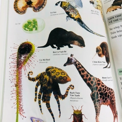📚 BÁCH KHOA THƯ THẾ GIỚI TỰ NHIÊN 479463