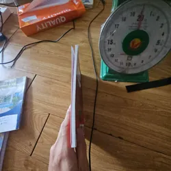 Act normal and don't tell anyone about the dinosaur in the garden 739577