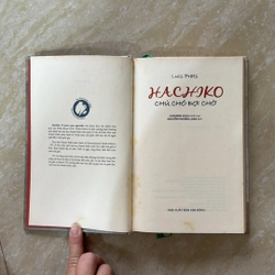 HACHIKO chú chó đợi chờ 527715