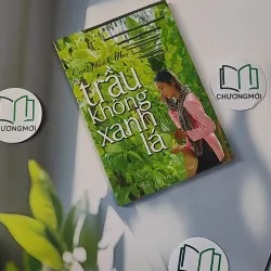 Trầu Không Xanh Lá - Cao Thanh Mai 798319