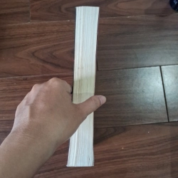 Ảnh hậu tái sinh 508835