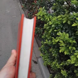 Rabbit ơi chạy đi của John Updike 936583