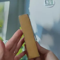 [XƯA] Wild Magic (1992) - Tamora Pierce 1027574