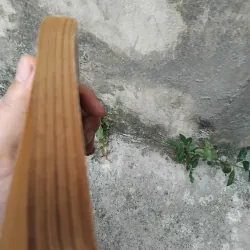 Quang Dũng người và thơ của Hoài Việt ( bản in lần 2 ) 1023973