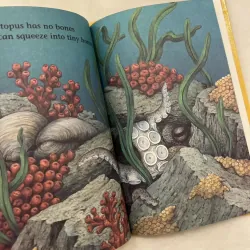 ✨𝑶𝒄𝒕𝒐𝒑𝒖𝒔 𝑼𝒏𝒅𝒆𝒓 𝑻𝒉𝒆 𝑺𝒆𝒂✨ sách cũ ngoại văn, Early Readers 589226