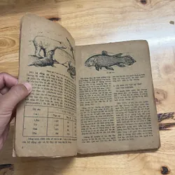 II Sách Xưa: Biển Gọi - Trung Tâm Nghiên Cứu Và Dịch Thuật - 1984 687798