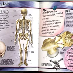 FANTASTIC SCIENCE FACTS - MILES KELLY 1044771