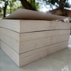 PHẬT GIÁO TƯ TƯỞNG LUẬN - THÍCH QUẢNG ĐỘ 1029986