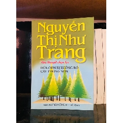 (Sách cũ SCGR) Đứa con bị ruồng bỏ cây thông non - Nguyễn Thị Như Trang - Văn học VAVOA1ST2-6 Blogmeo090426