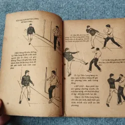 PHƯƠNG PHÁP CHIẾN ĐẤU CỦA LÝ TIỂU LONG 701893