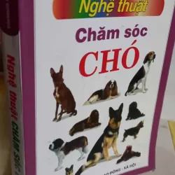 nghệ thuật chăm sóc chó