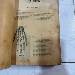 Những chiều thế chụp hình tia x 728307