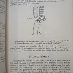 GIẢI PHẪU LÂM SÀNG - HAROLDELLIS 595411