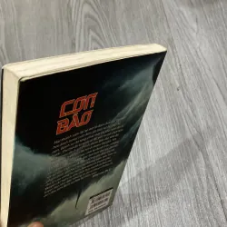 Cơn bão - Oystein Torsud 1023432